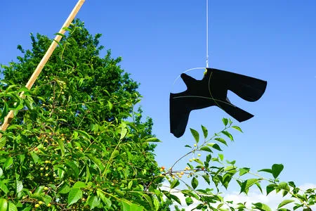 Effaroucheur oiseaux : sauvez vos fruits !
