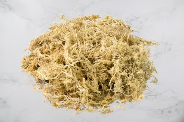 La tourbe de sphaigne : pour drainer et aerer